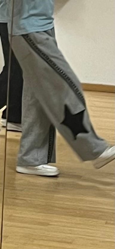 Customer photo review of Aelfric Eden Panel Baggy Barrel Sweatpants