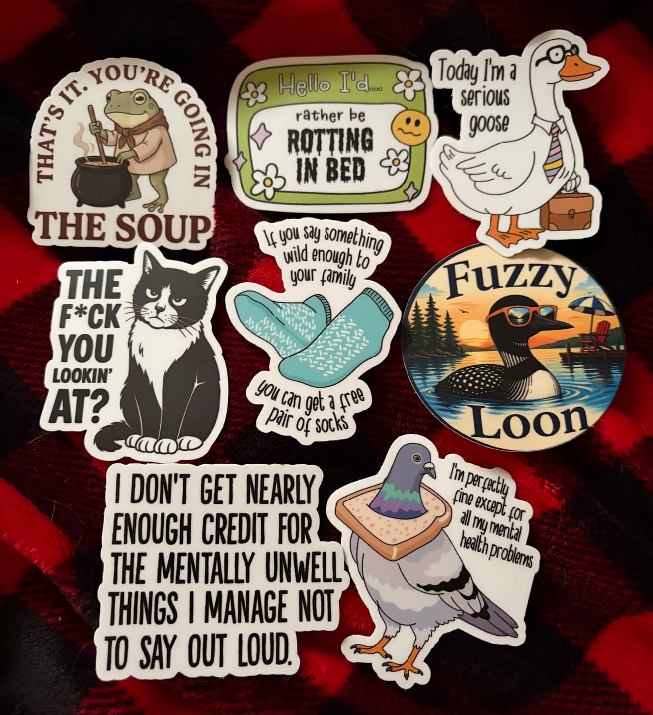Customer photo review of STICKER CLUB | Monthly Sticker Subscription