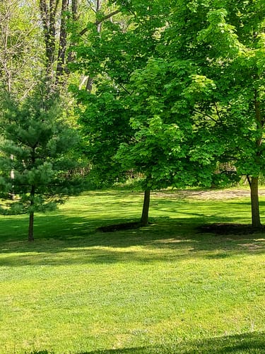Customer photo review of Peace Out, Pests: Botanical Bug Spray with Benefits