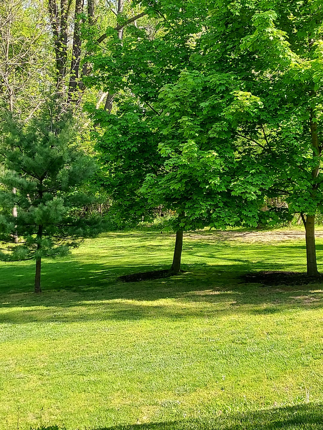 Customer photo review of Peace Out, Pests: Botanical Bug Spray with Benefits