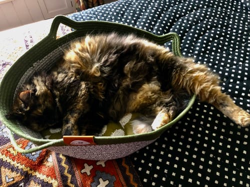 Customer photo review of Instinct Basket | Meet the first research-backed natural territory for indoor cats