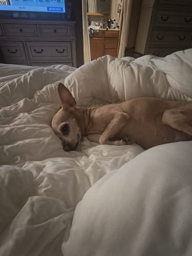 Customer photo review of MarshMellow Comforter