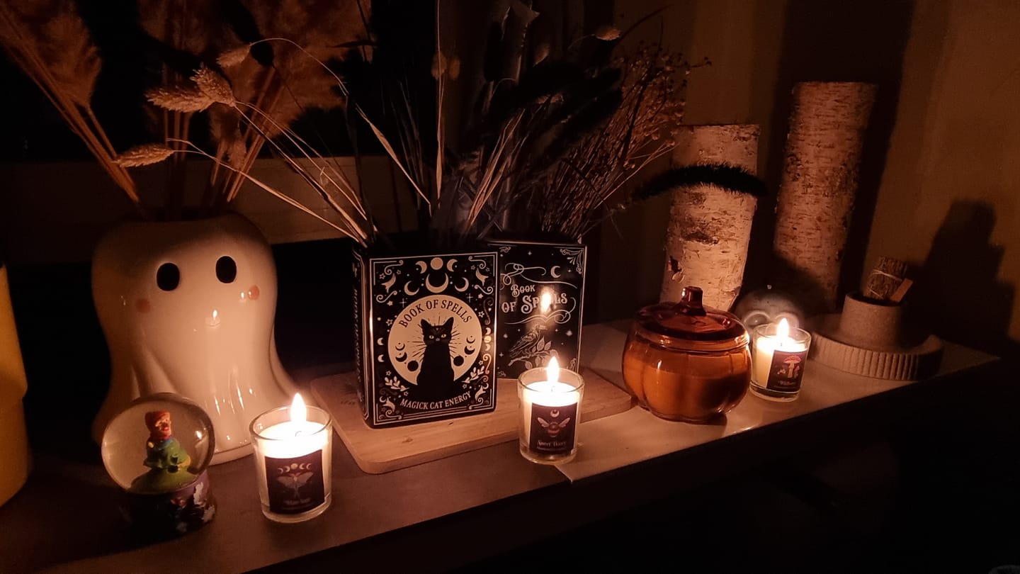 Customer photo review of Schwarze Katze Buch Vase – Witchy Blumenvase für Katzenliebhaber