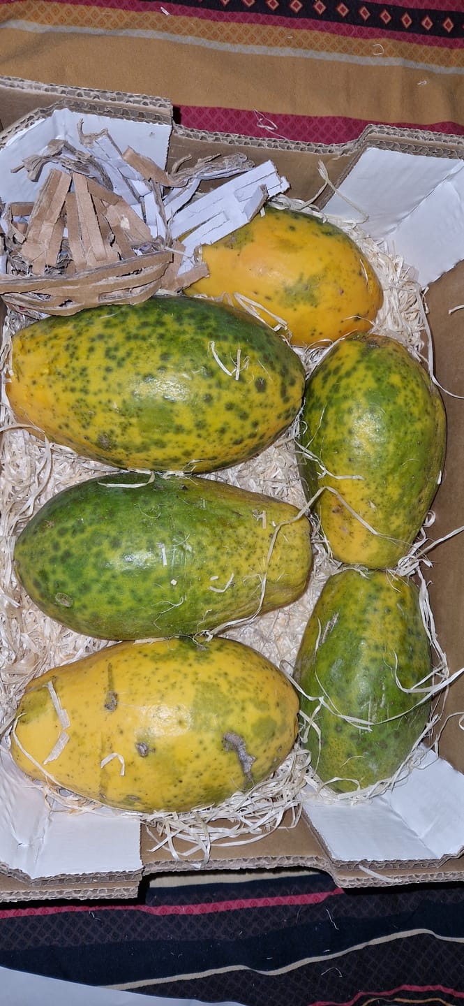 Customer photo review of Papaya Bio von Julian 4,5kg Box Sonderaktion %