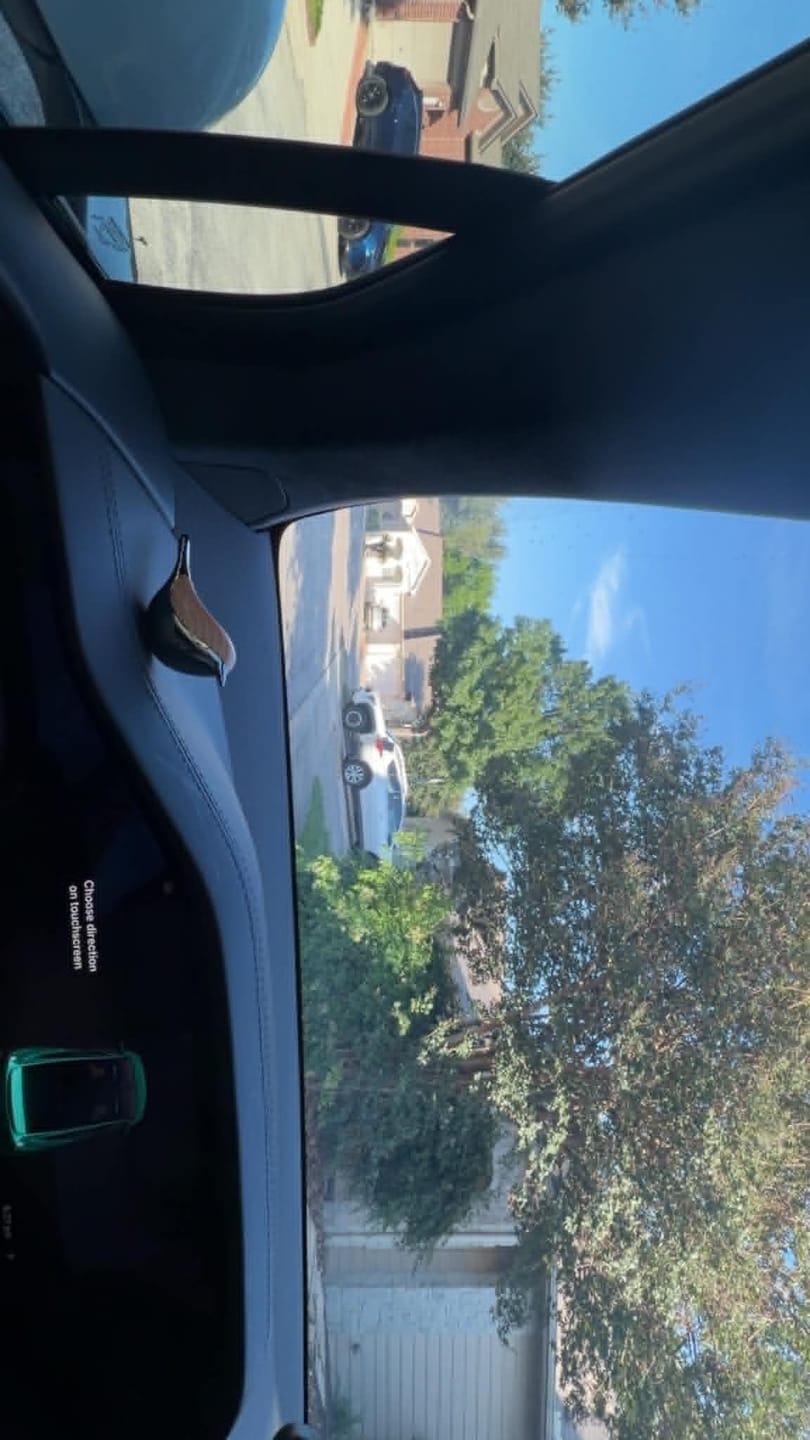 Customer photo review of Lucky Bird Air Freshener for Tesla All Models