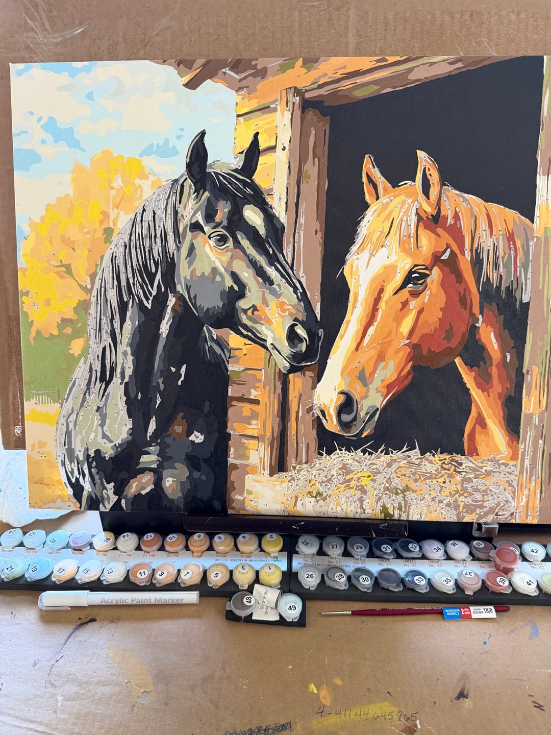 Customer photo review of Stable Companion