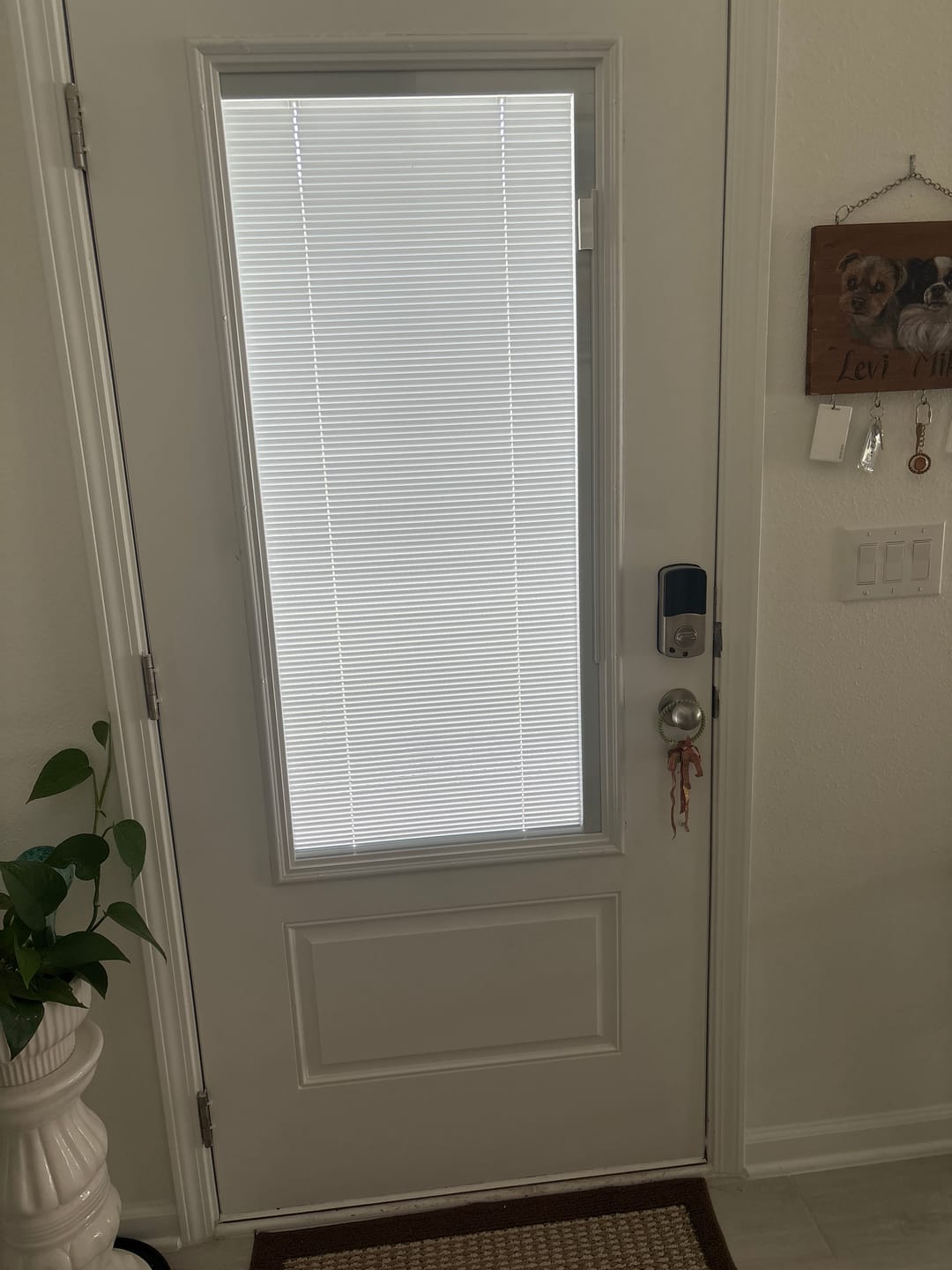 Customer photo review of Raise & Lower Blinds Glass and Frame Kit (3/4 Lite)