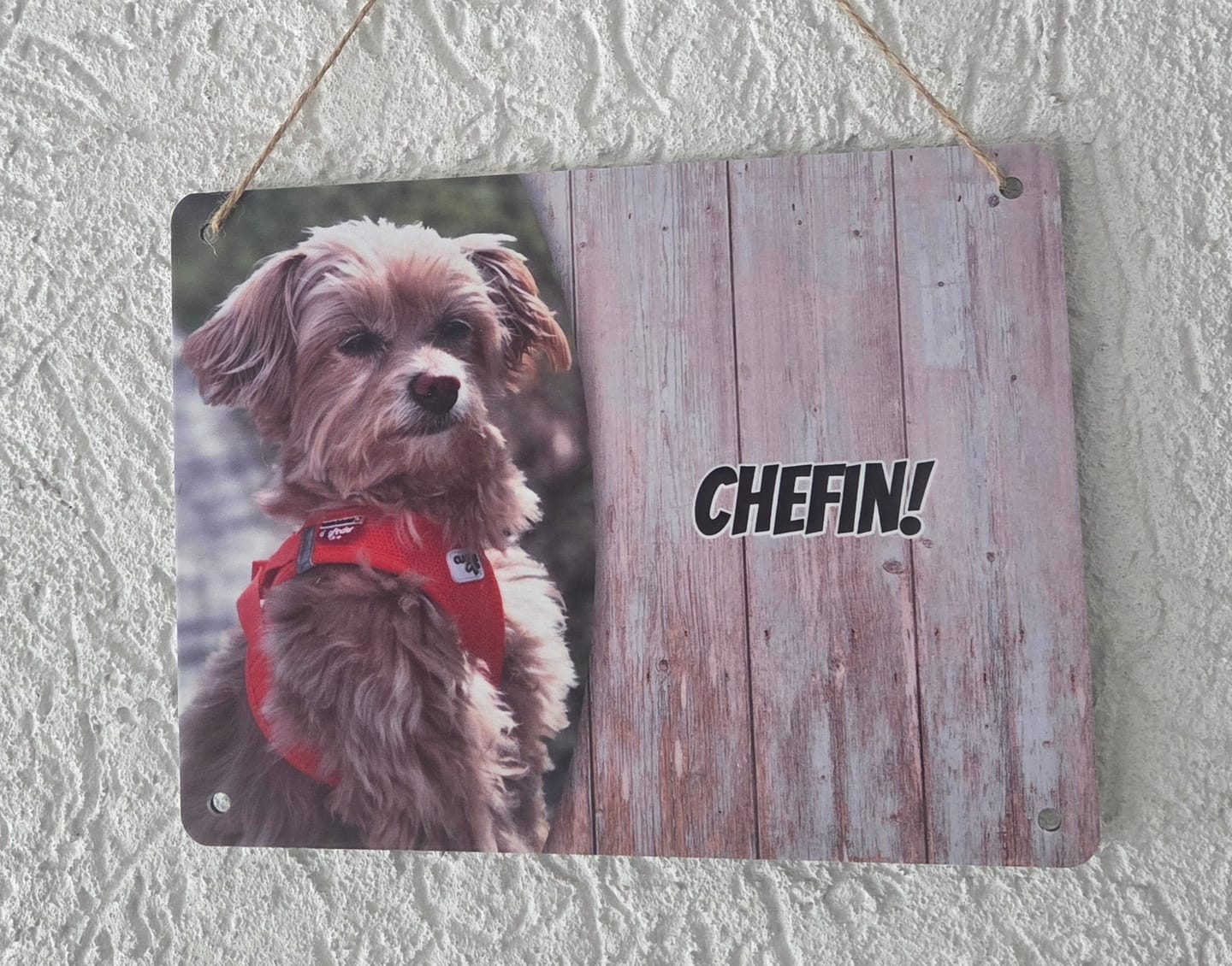 Customer photo review of Hunde-Türschild personalisiert mit Foto & Text (UV- und wetterfest)