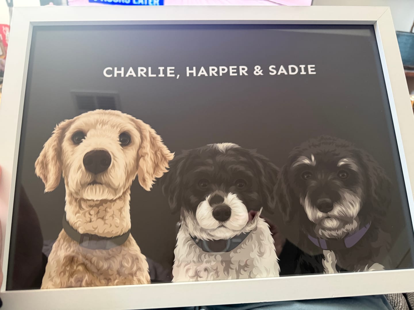 Customer photo review of Custom Pet Portrait - Three Pets
