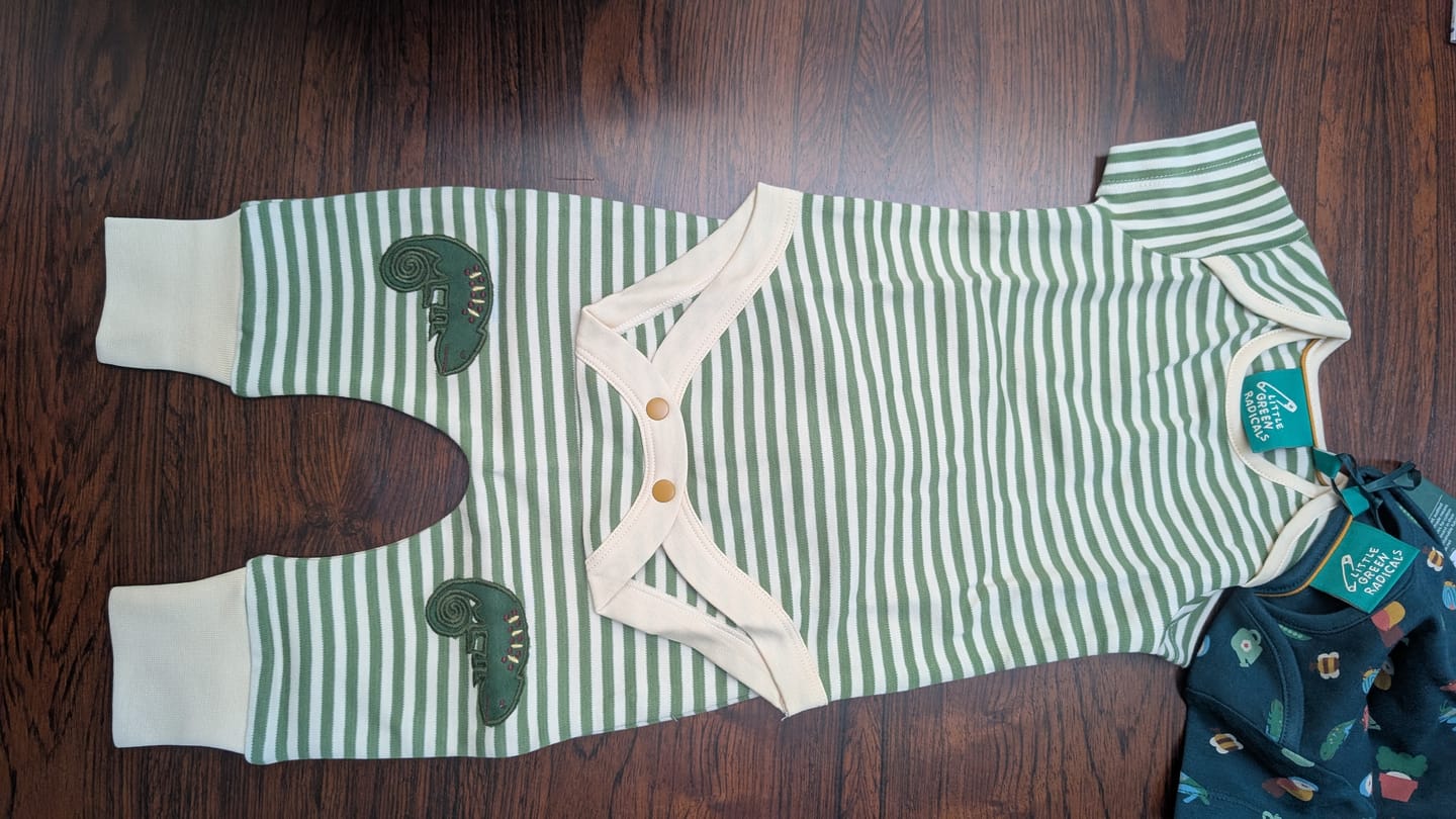 Customer photo review of Spring Garden Organic Baby Bodysuit 2 Pack