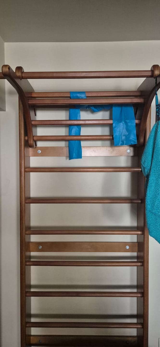 Customer photo review of Swedish Ladder Pro