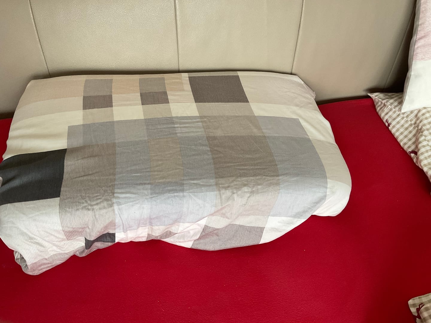 Customer photo review of SIDE+ Kissen