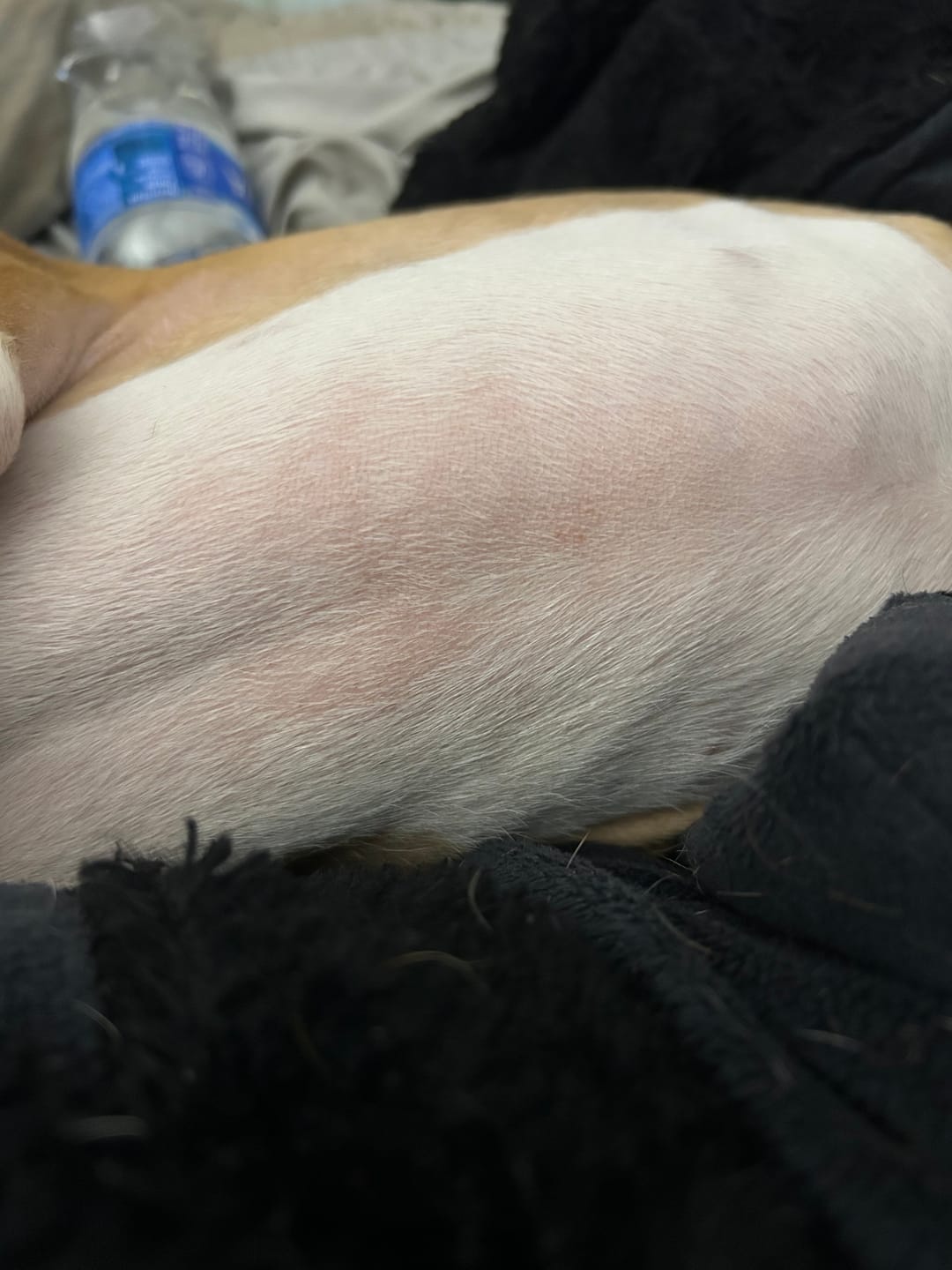 Customer photo review of Something Better Balm  (1.5 oz)