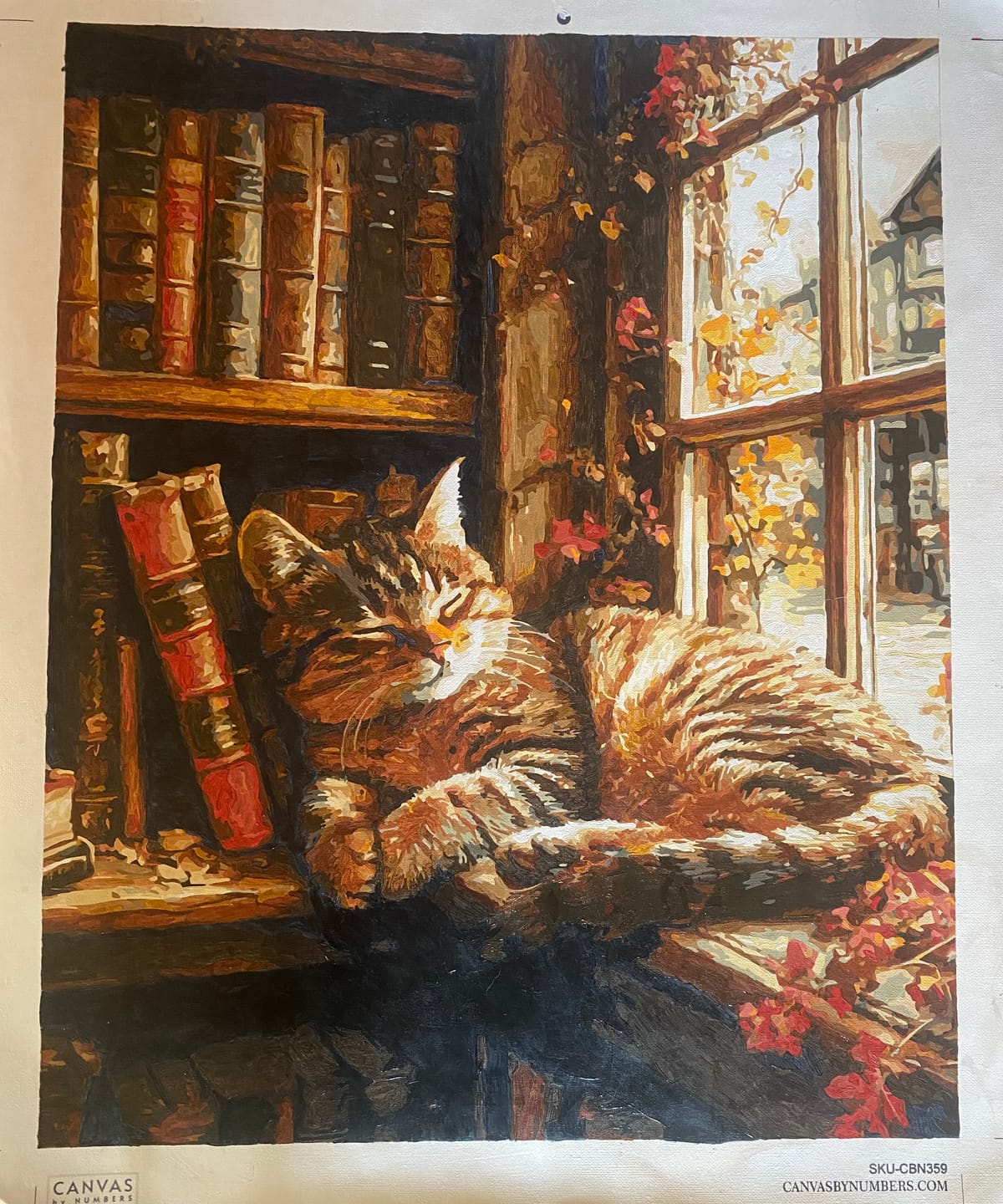 Customer photo review of The Book Nook