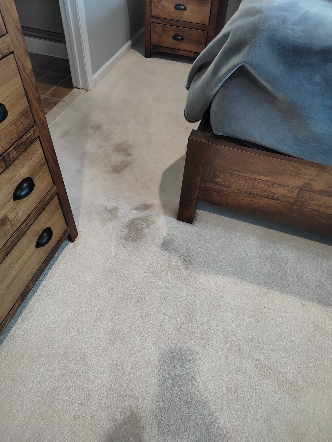 Customer photo review of • Releasit Encap-Clean DS2 (4 Gallon) Encapsulation Carpet Cleaning Detergent [Encap]