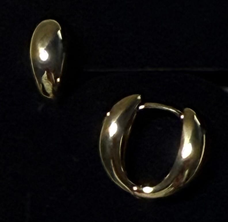 Customer photo review of Emersyn 18k White Gold Plated 14mm Hoop Earrings for Women