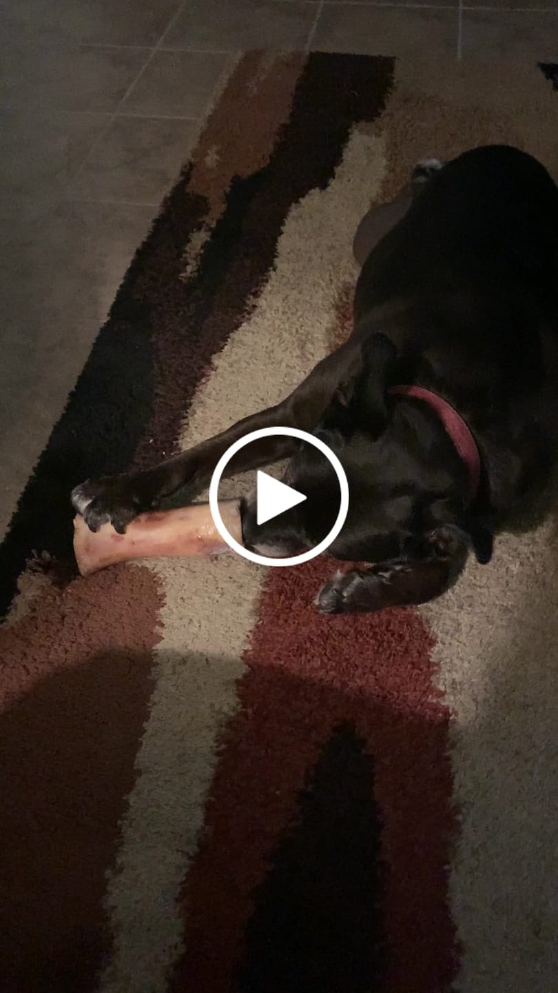 Customer video review of Erik's Mystery Chew or Treat