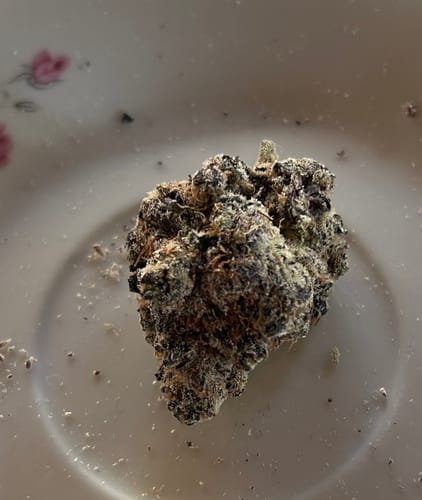 Customer photo review of Snozz Berries - Indoor - 4 Grams - Hybrid