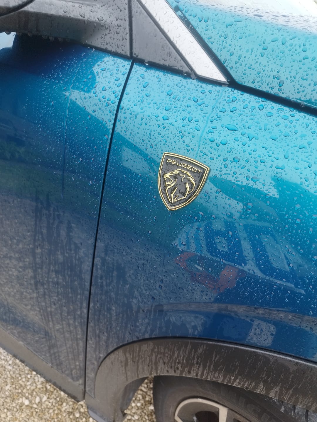 Customer photo review of Logo Aile Peugeot
