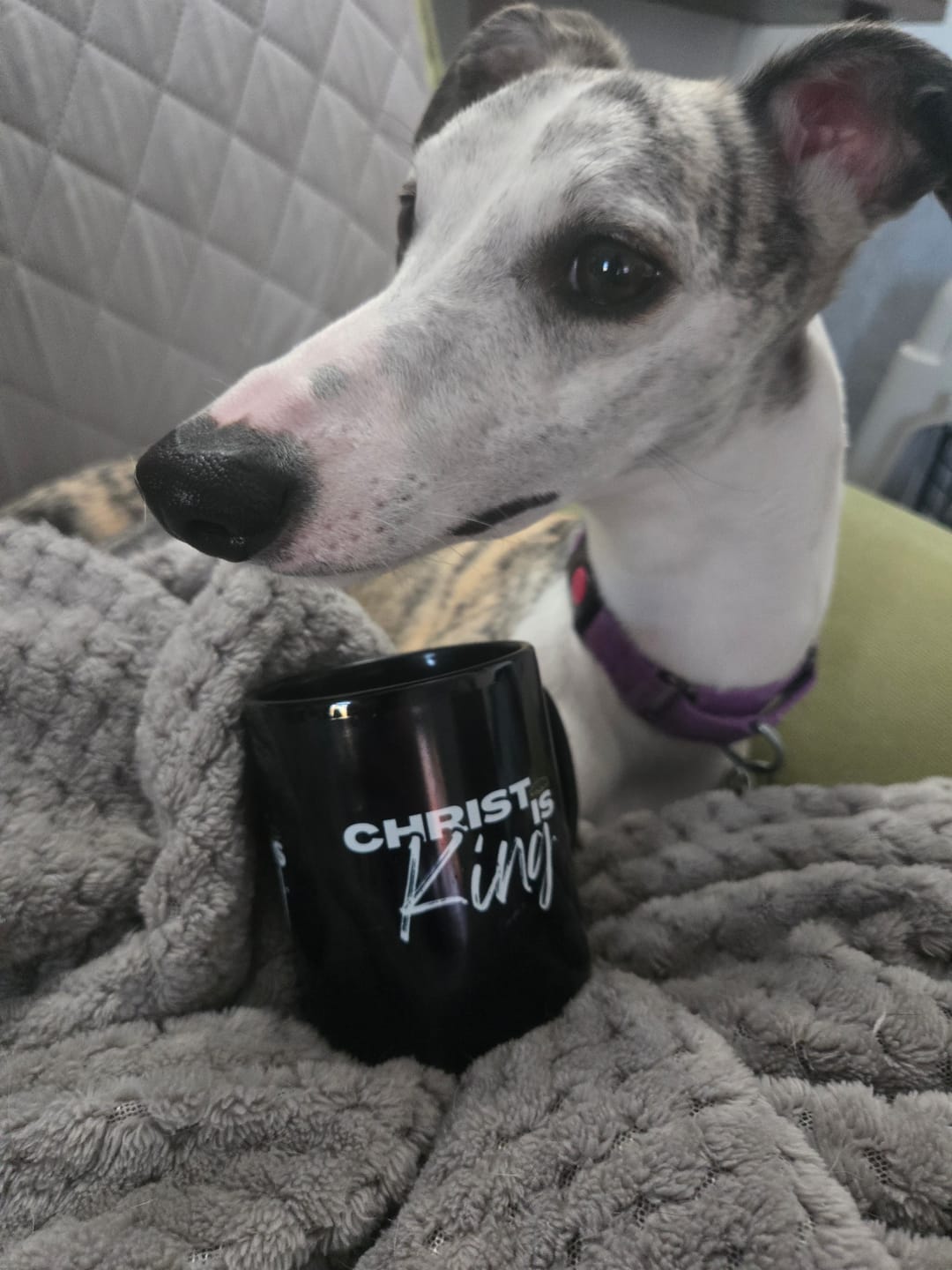 Customer photo review of Christ is King Mug