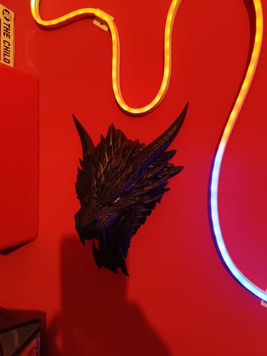 Customer photo review of Anycubic Kobra X