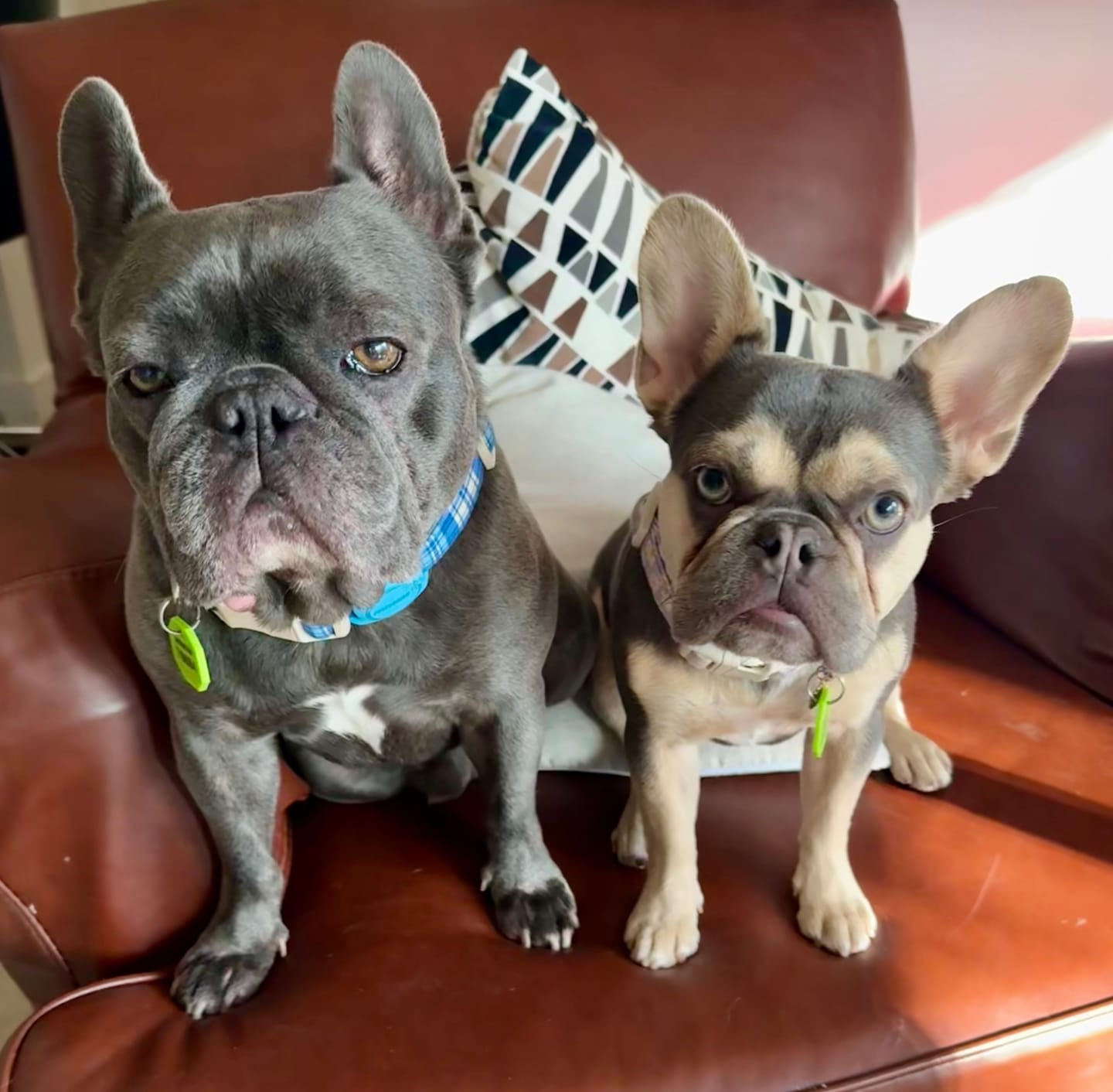 Customer photo review of Bugsy's Air-Dried Beef