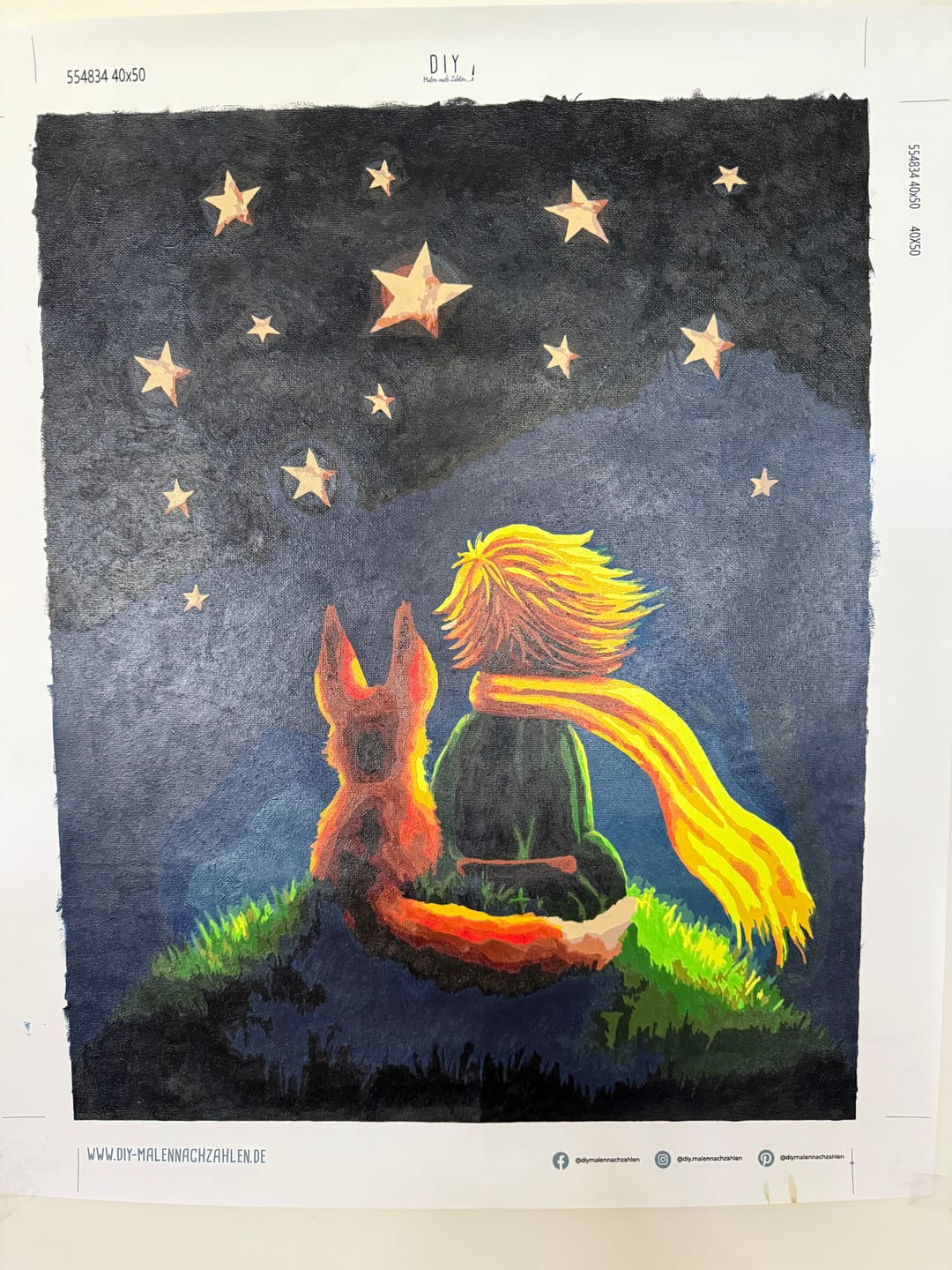Customer photo review of Malen nach Zahlen - Kleiner Junge und Fuchs