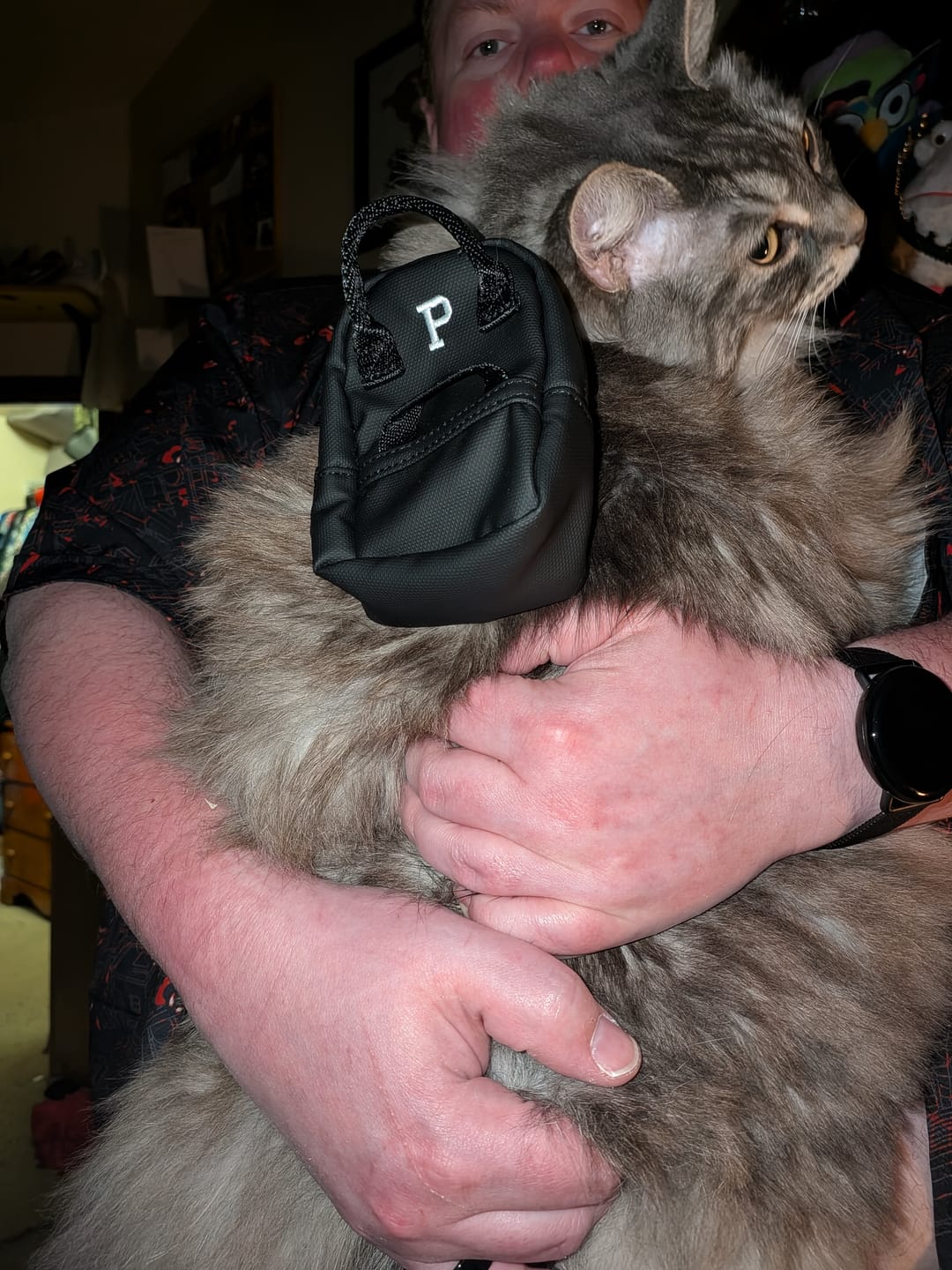 Customer photo review of Cascade Bag Charm