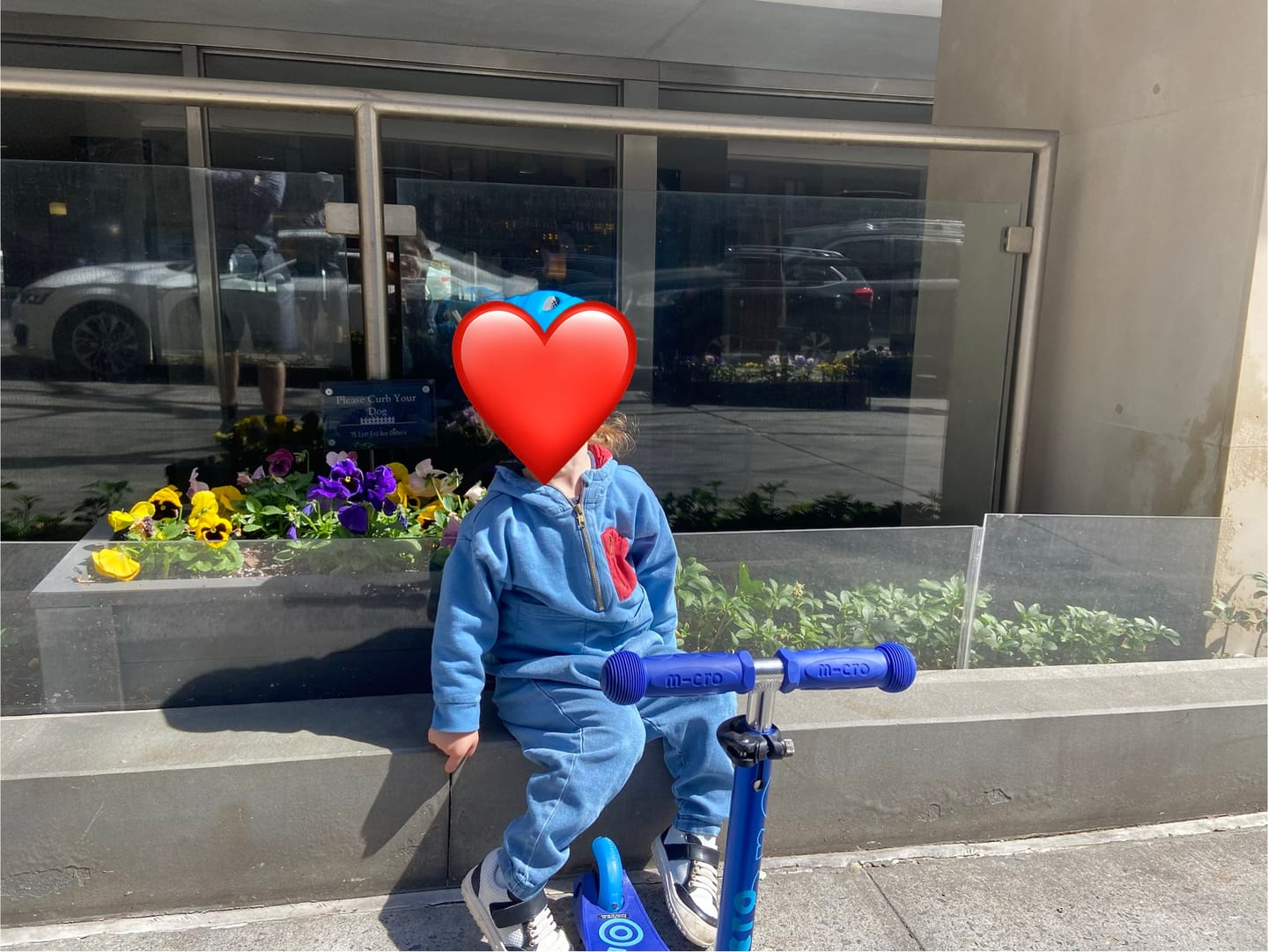 Customer photo review of Horizon Blue Organic Quarter Zip Hoodie