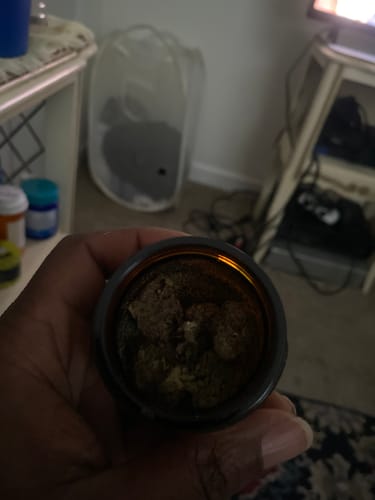 Customer photo review of Purple Lantz THCA Flower