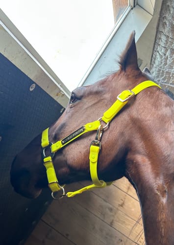 Customer photo review of Personalized Halter