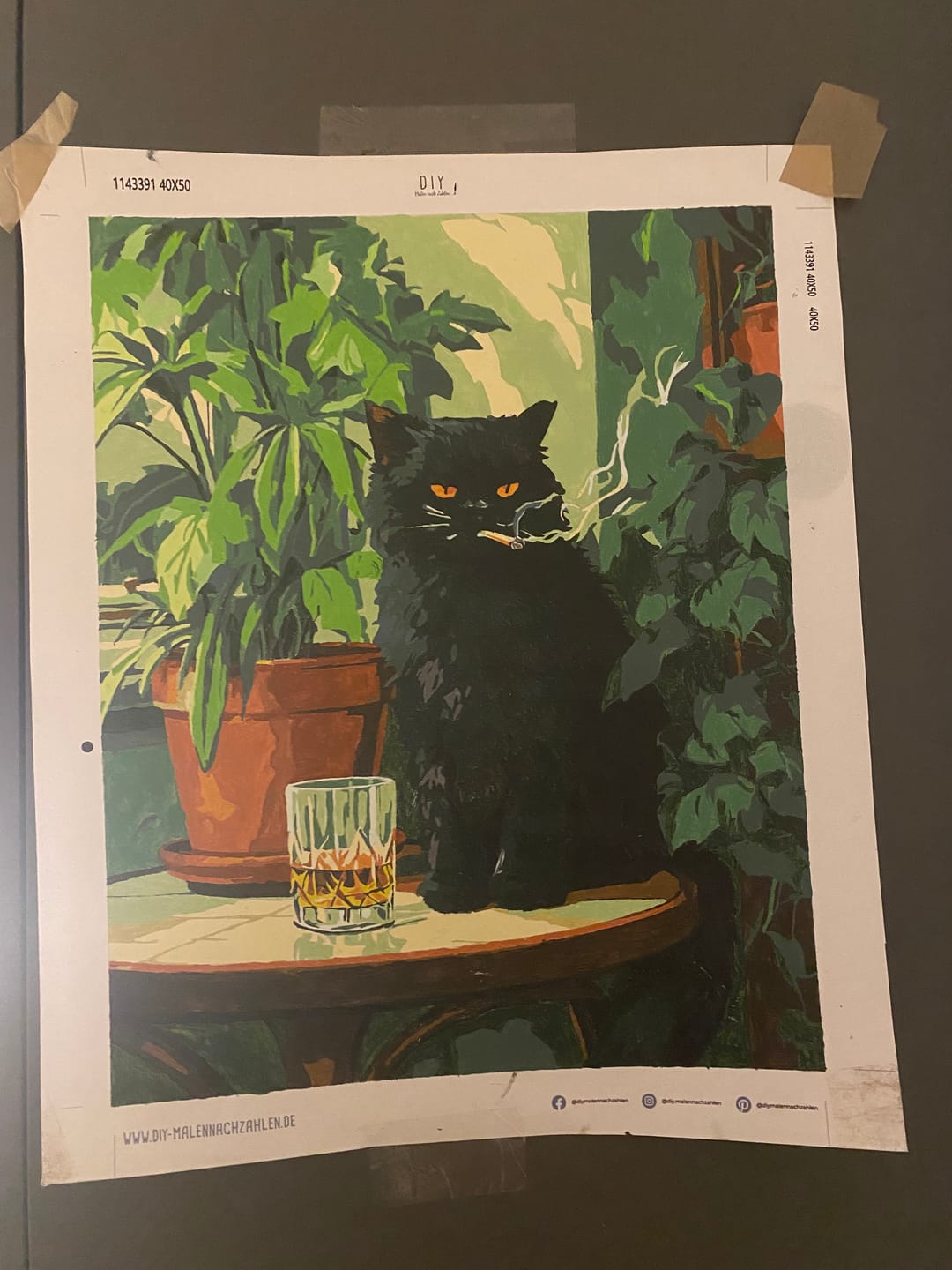 Customer photo review of Malen nach Zahlen - Grumpy Cat