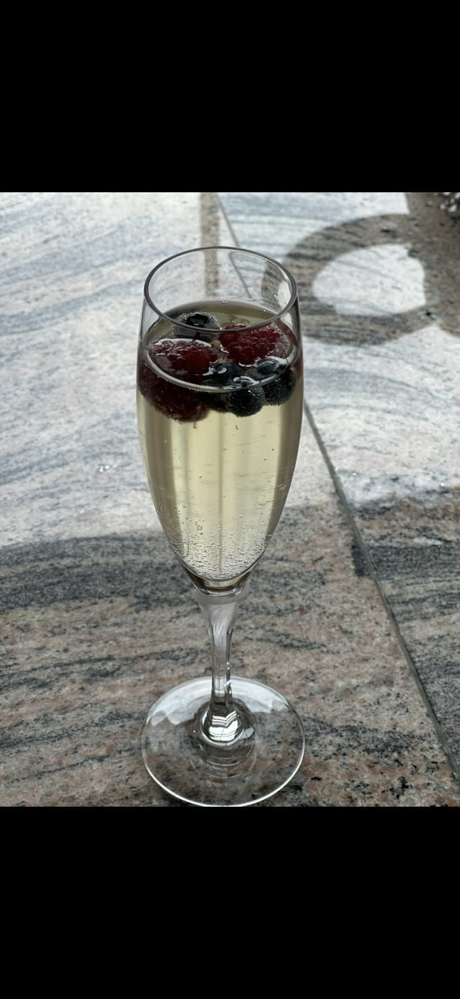 Customer photo review of NEU:VinTonic Mojito  | 6 x 0,75 L
