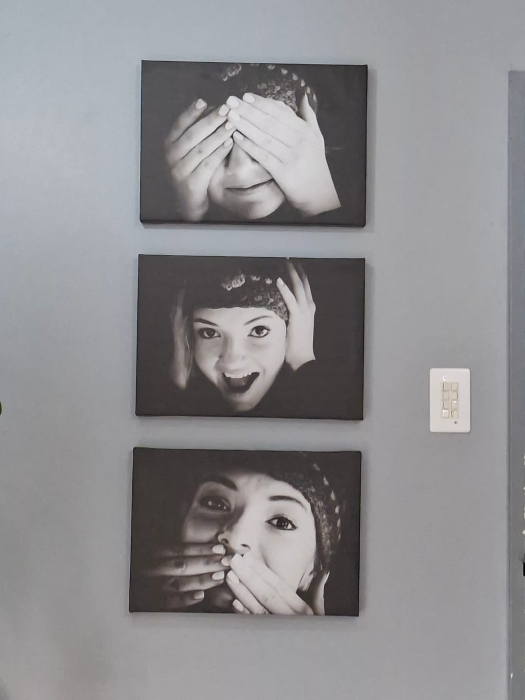 Customer photo review of 3 x A3 Canvas Combo