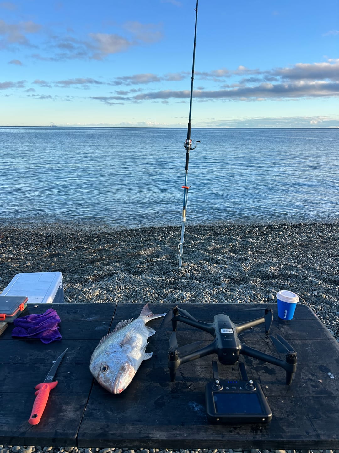 Customer photo review of Aeroo Pro