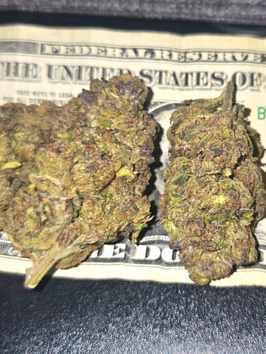 Customer photo review of THCA Queen