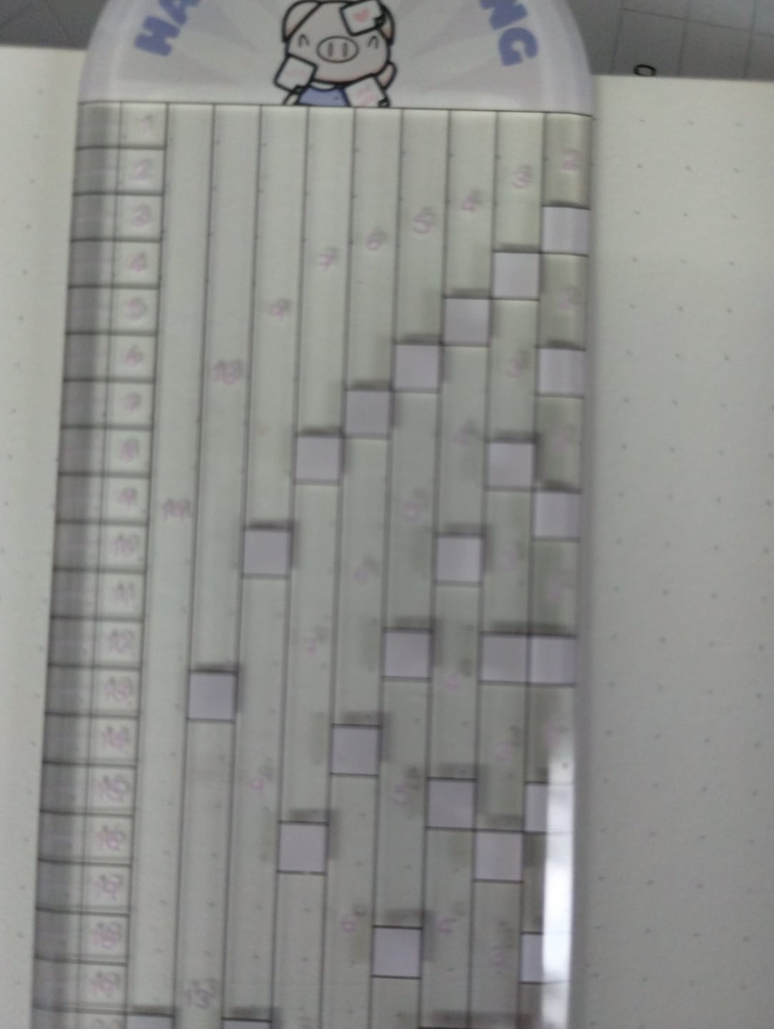 Customer photo review of Stationery Buddies Dot-Grid Rulers (Set of 2)