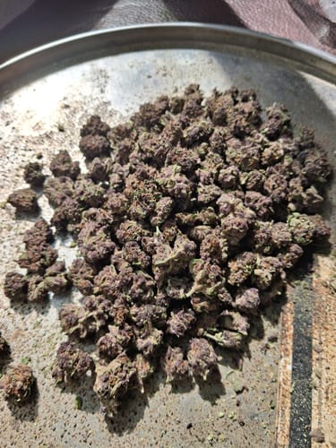 Chocolate Diesel - 28 Grams - Hybrid photo review