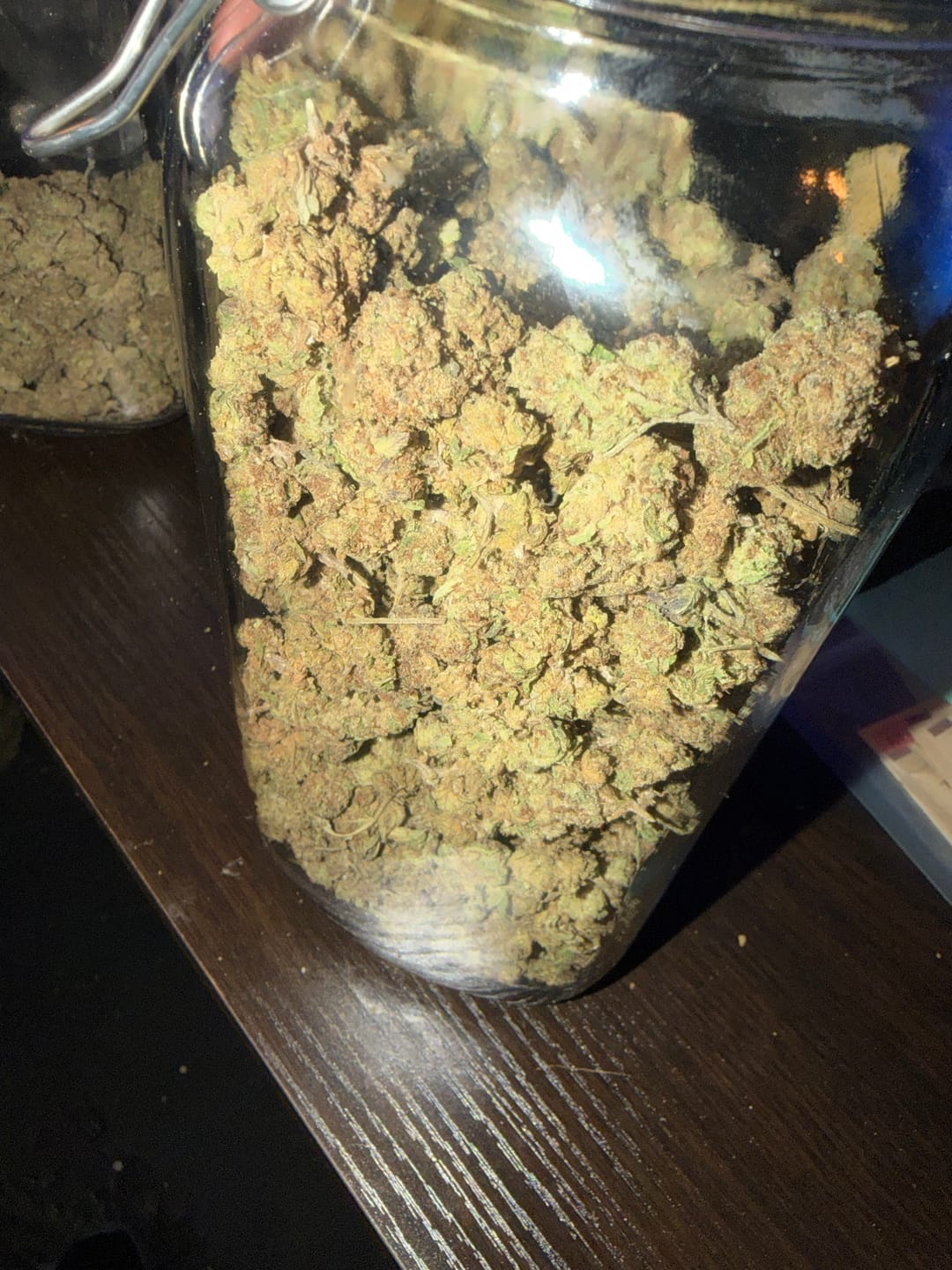 Customer photo review of Blueberry Muffins Littles - Bulk Littles - Indica
