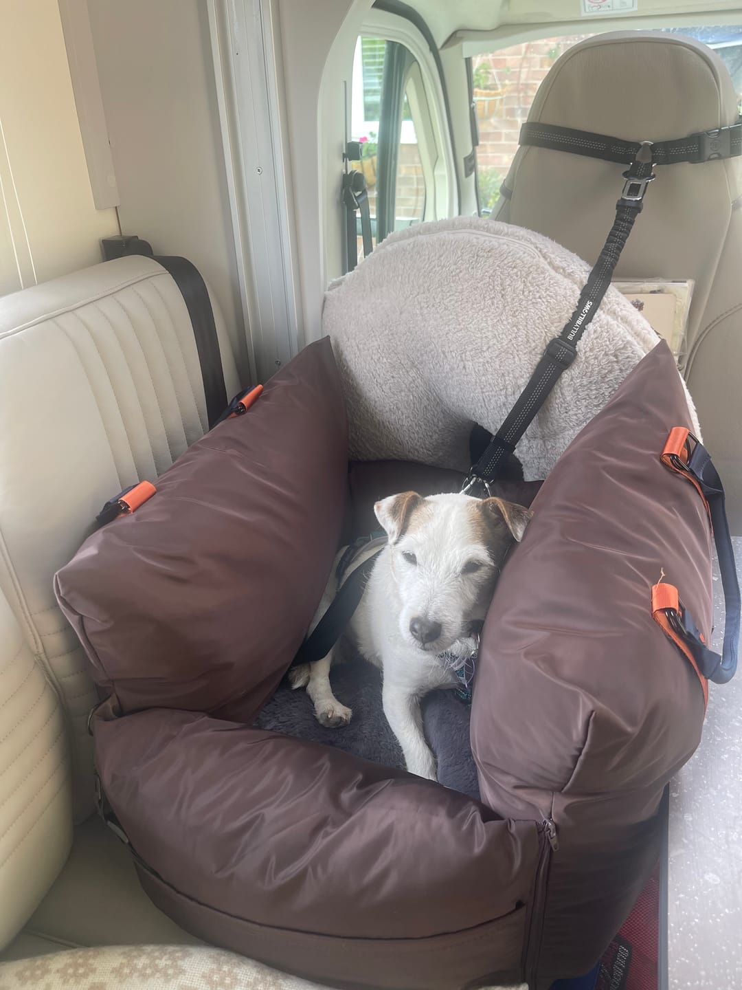 Customer photo review of Travel Dog Pod - Now With IsoFix