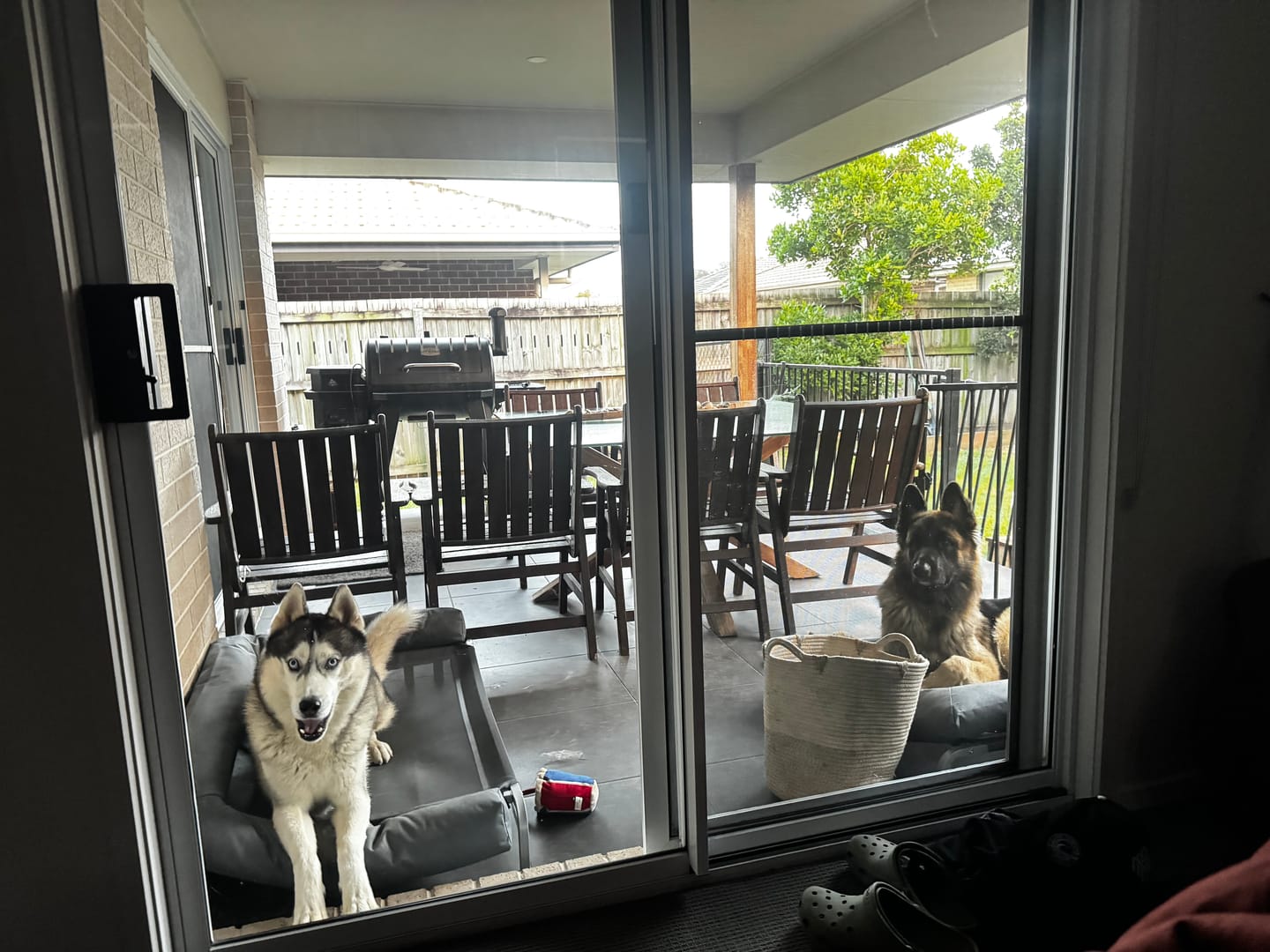 Customer photo review of Outdoor Elevated Dog Bed - Pet Trampoline