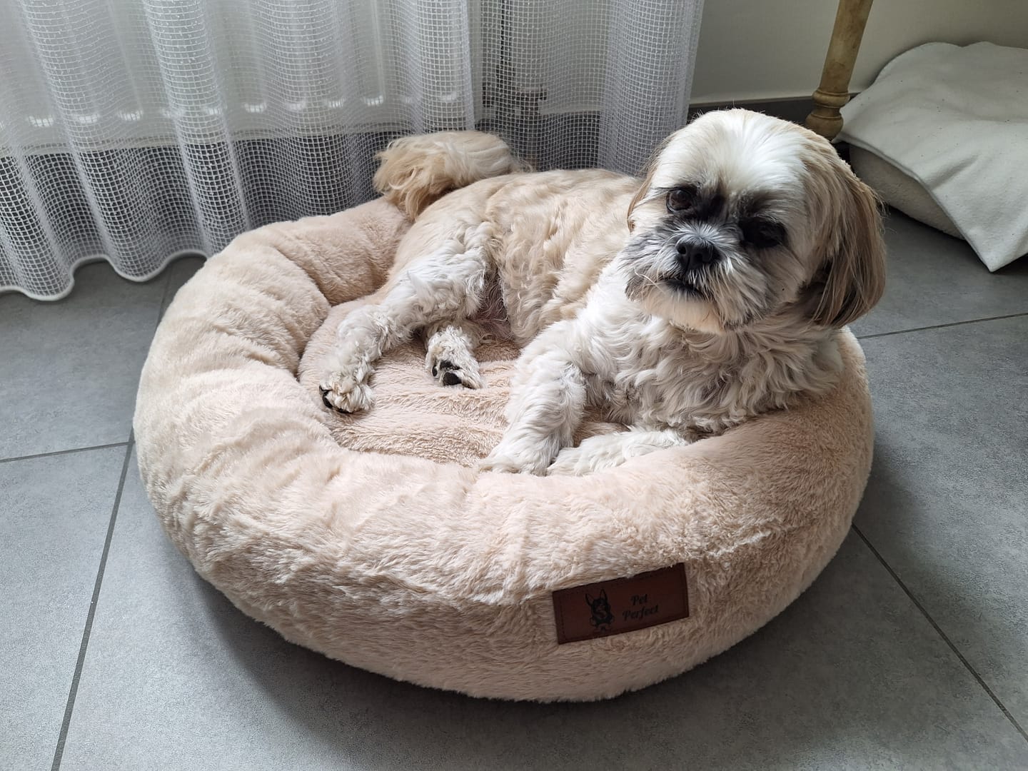 Customer photo review of Pet Perfect Hoes (ENKEL HOES) voor Orthopedische Donutmand - ZONDER VULLING