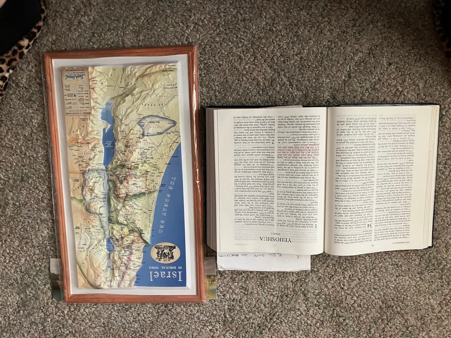 Customer photo review of 3D Map of Israel