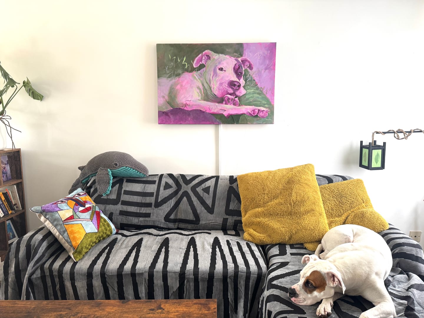 Customer photo review of Pet Couch Covers