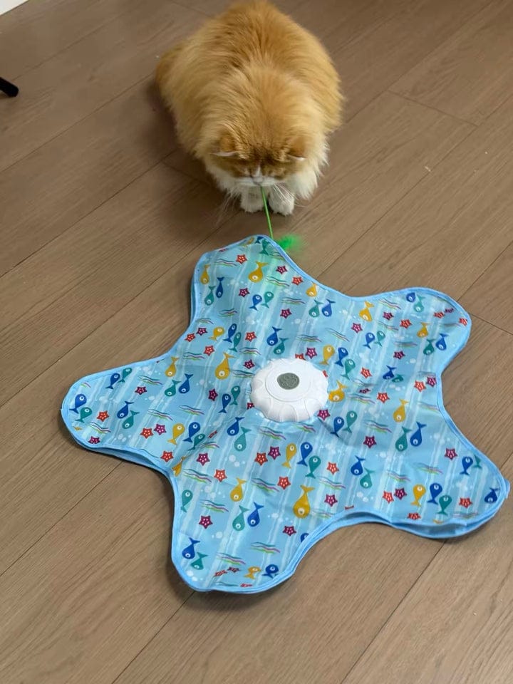 Customer photo review of Teasing UFO (Cats)