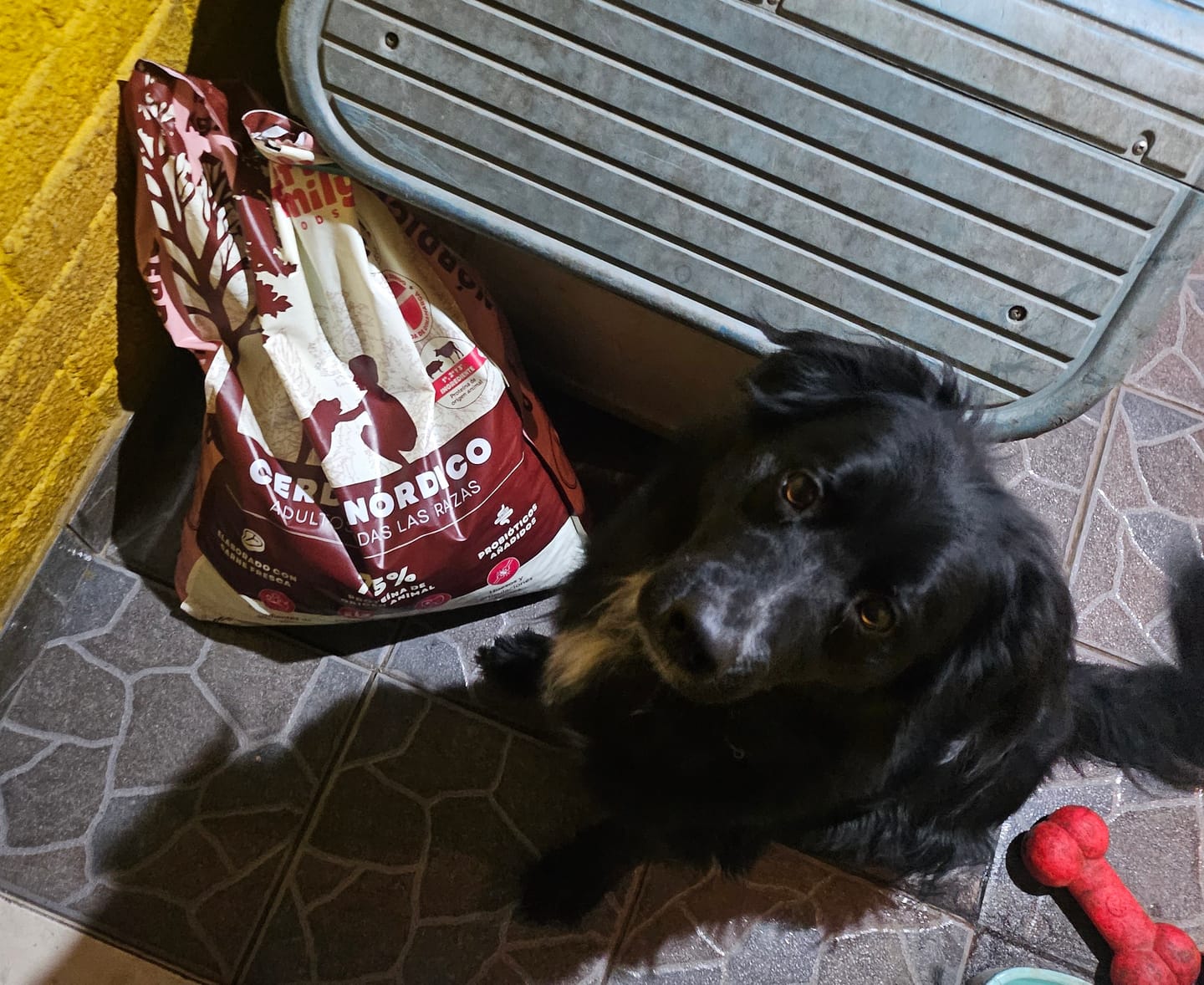 Customer photo review of PetFamily Foods Cerdo Nordico