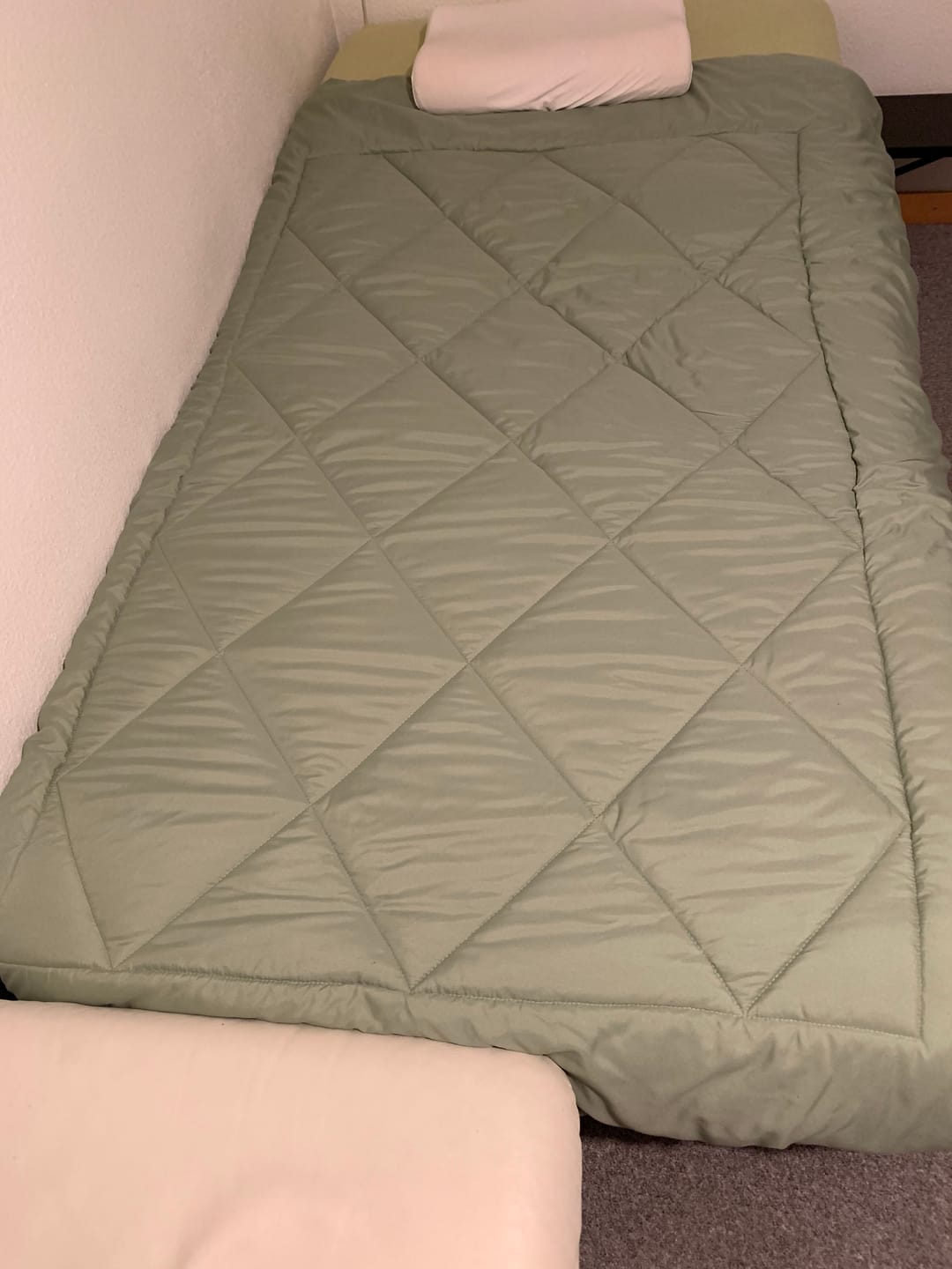 Customer photo review of EasySleep® Decke – Die schnelltrocknende 2-in-1 Bettdecke, die Bettwäsche überflüssig macht.