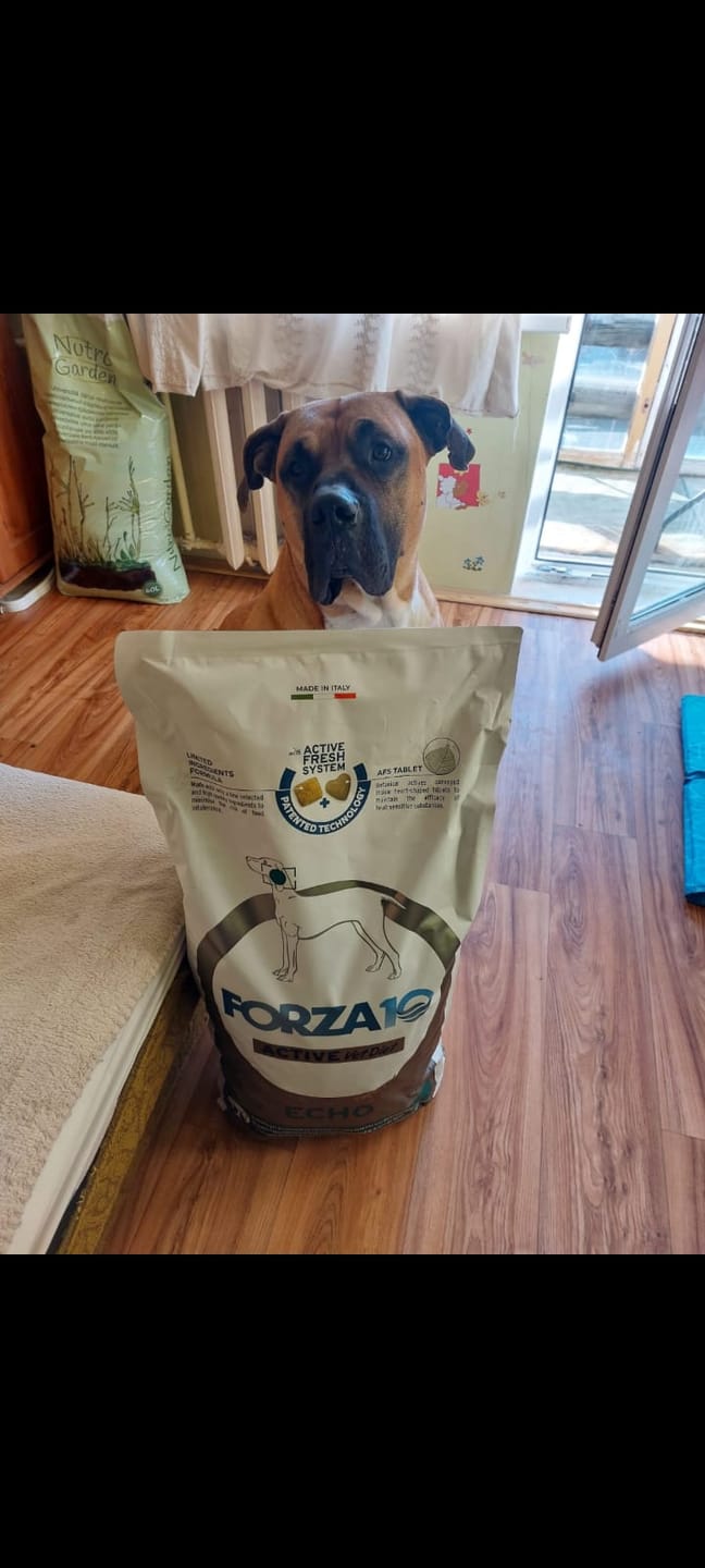 Customer photo review of Active VetDiet Echo suņiem