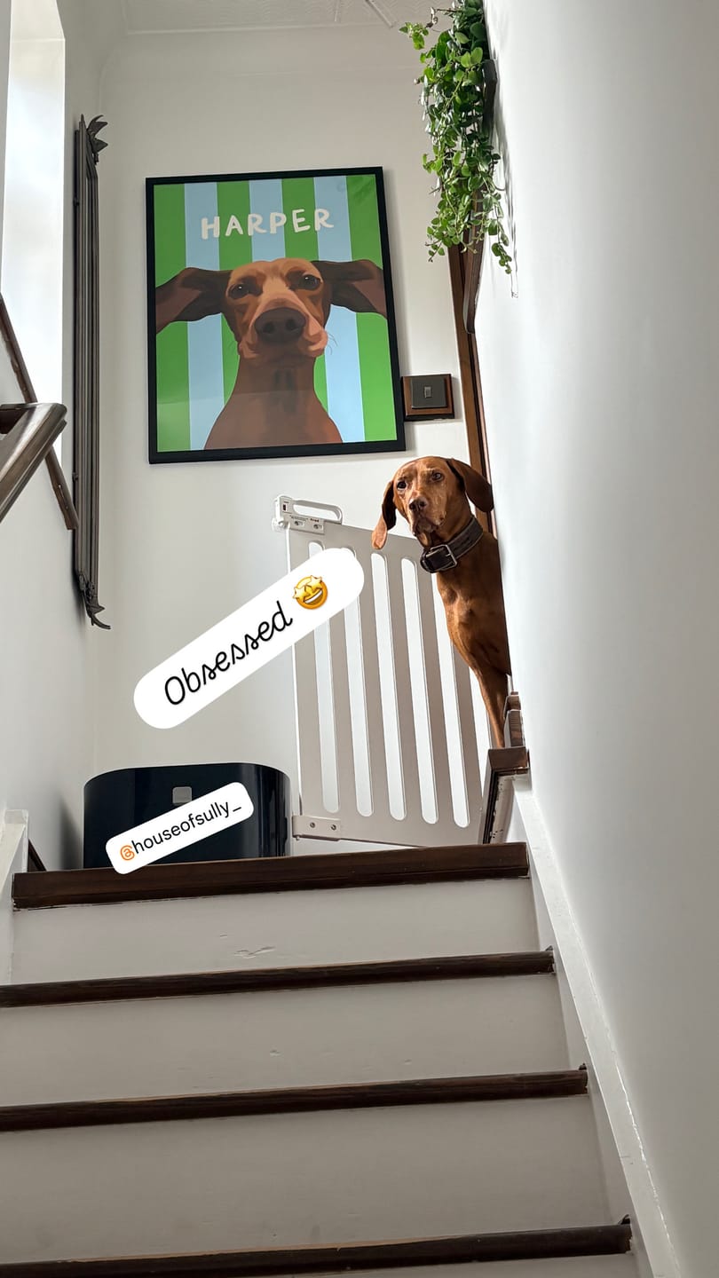 Customer photo review of Stripy | Custom Pet Portrait