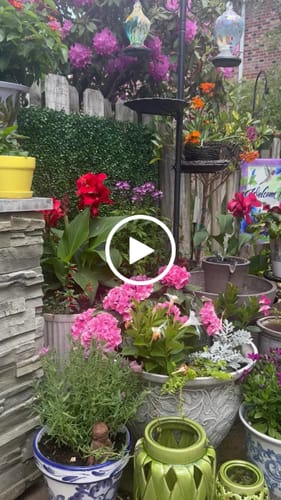 Customer video review of Alba Cordless Fountain